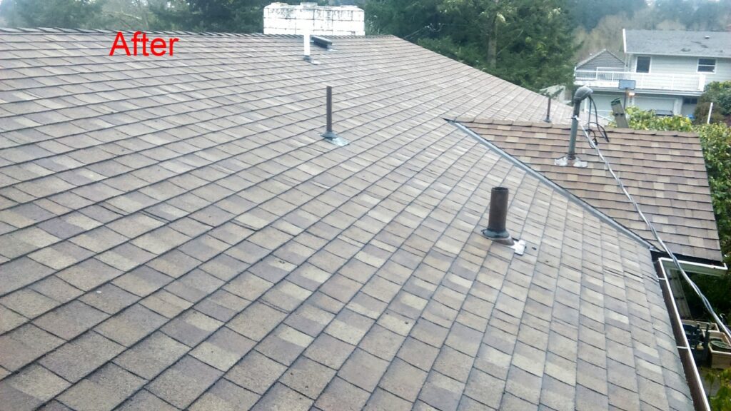 after roof cleaning Bonn Roof Care