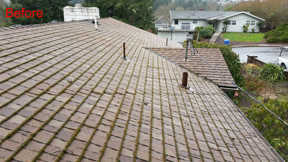 before roof cleaning Bonn Roof Care