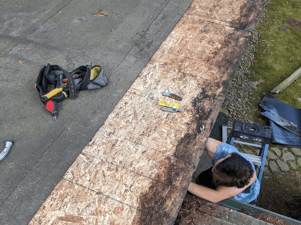 Dry Rot Rolled Roofing - Before