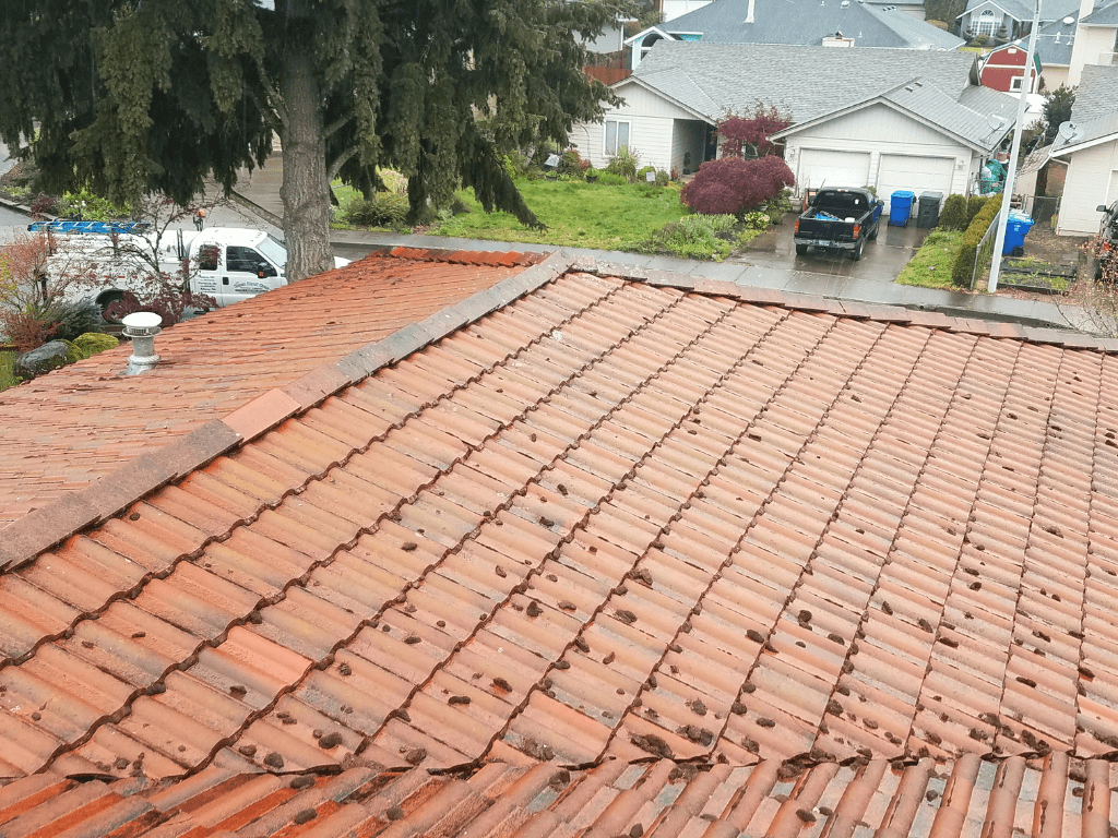 tile roof